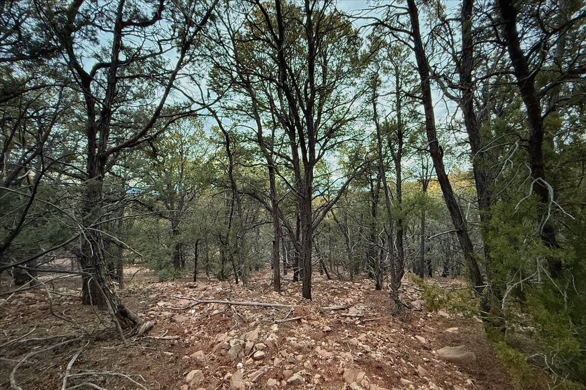 3245 Paseo Del Monte, Santa Fe, New Mexico image 5