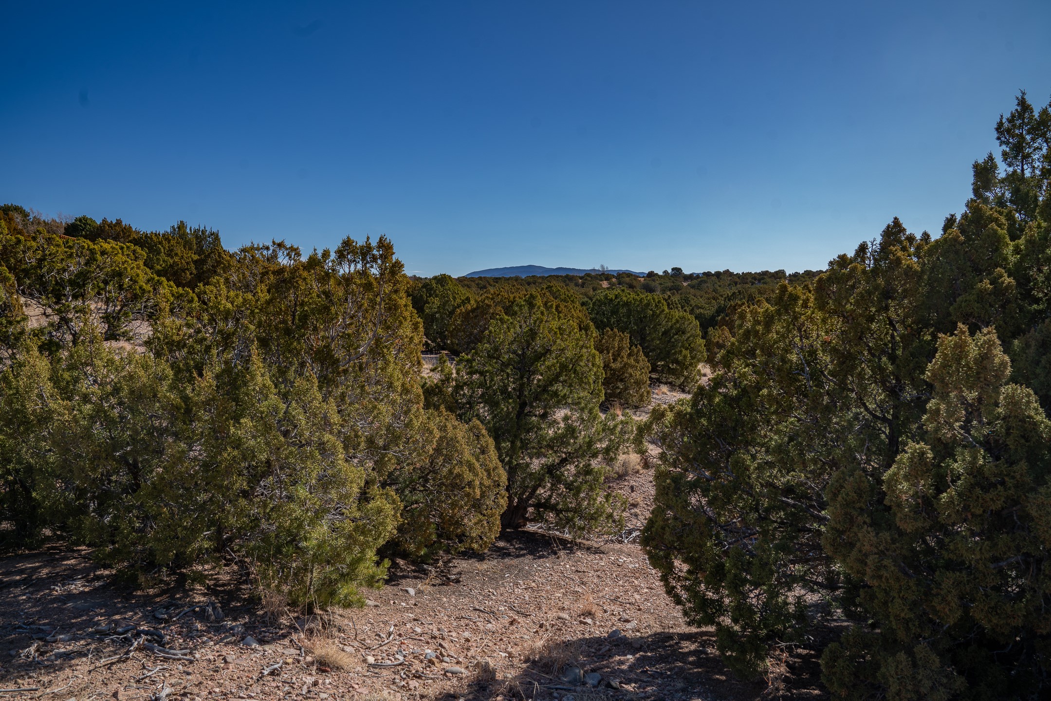 4 Camino Espejo, Santa Fe, New Mexico image 11