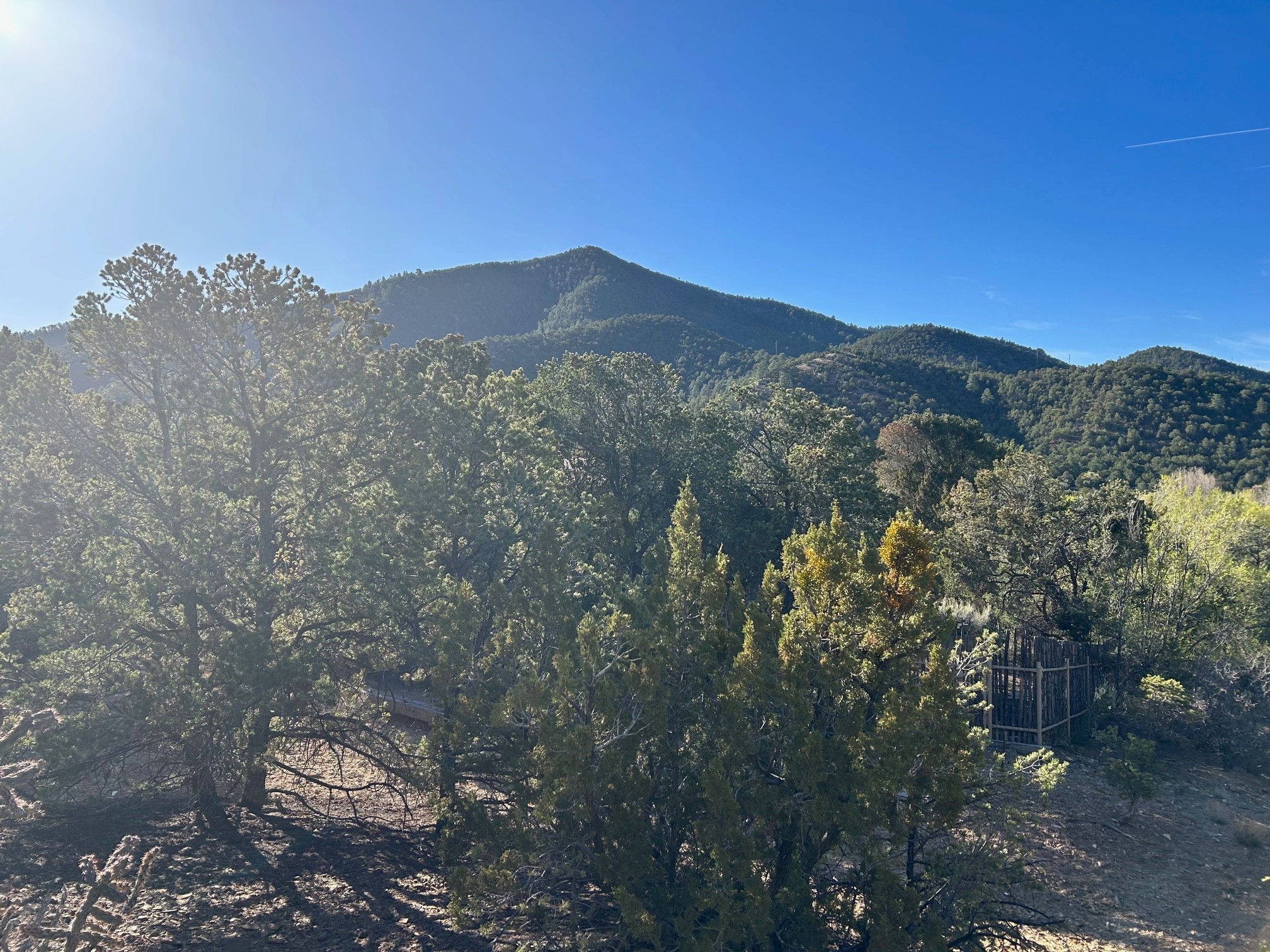 1661 A Cerro Gordo Rd, Santa Fe, New Mexico image 4