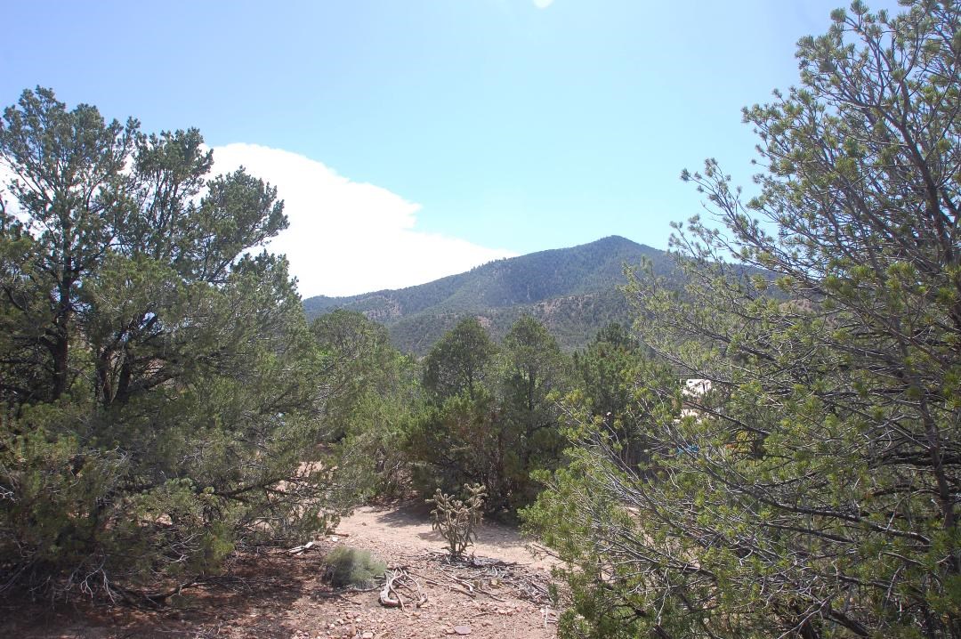 1661 A Cerro Gordo Rd, Santa Fe, New Mexico image 2