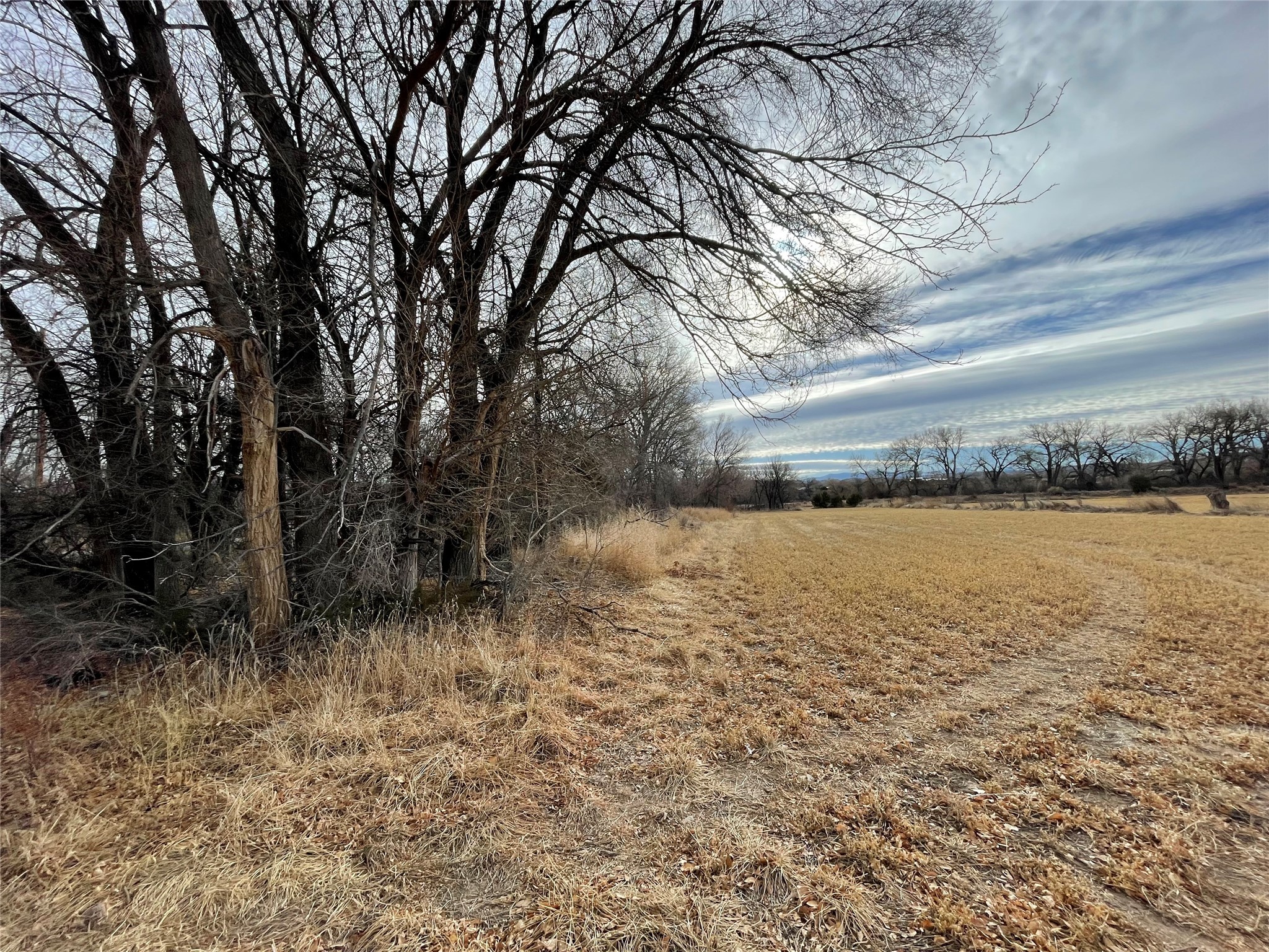 Cr-57, Velarde, New Mexico image 3