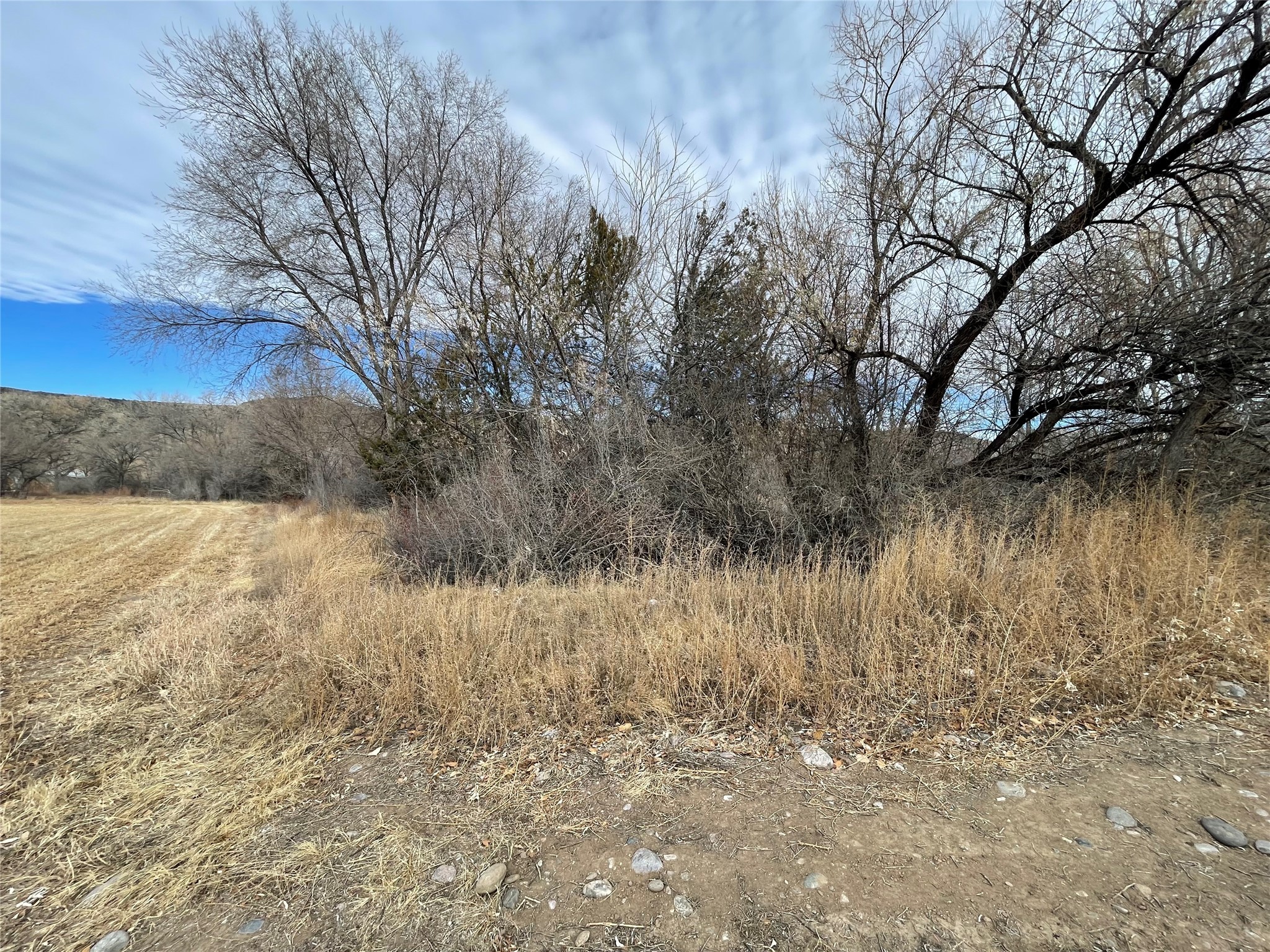 Cr-57, Velarde, New Mexico image 2