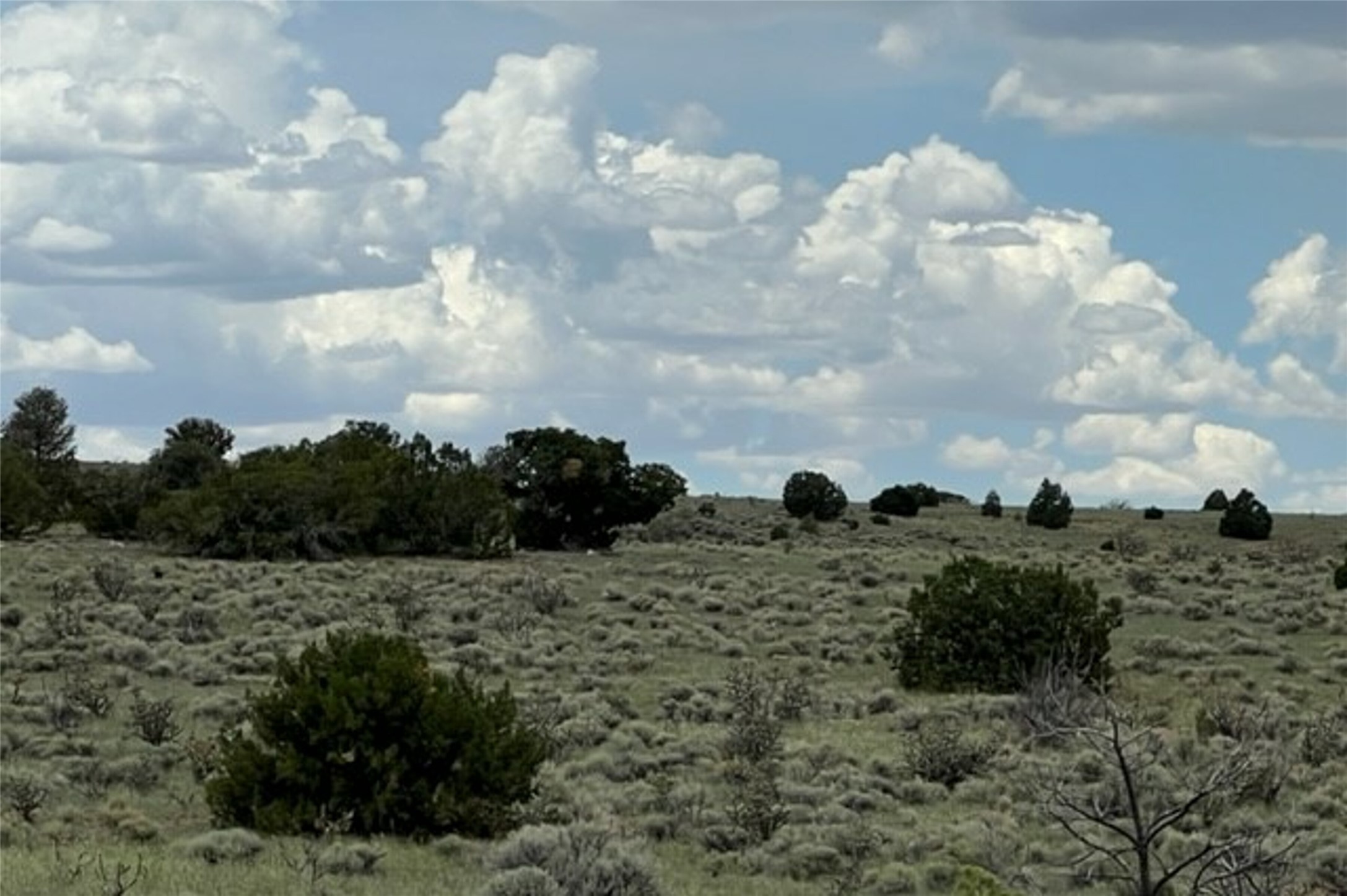 Lots 8 & 9 Las Animas De Abiquiu, Youngsville, New Mexico image 7