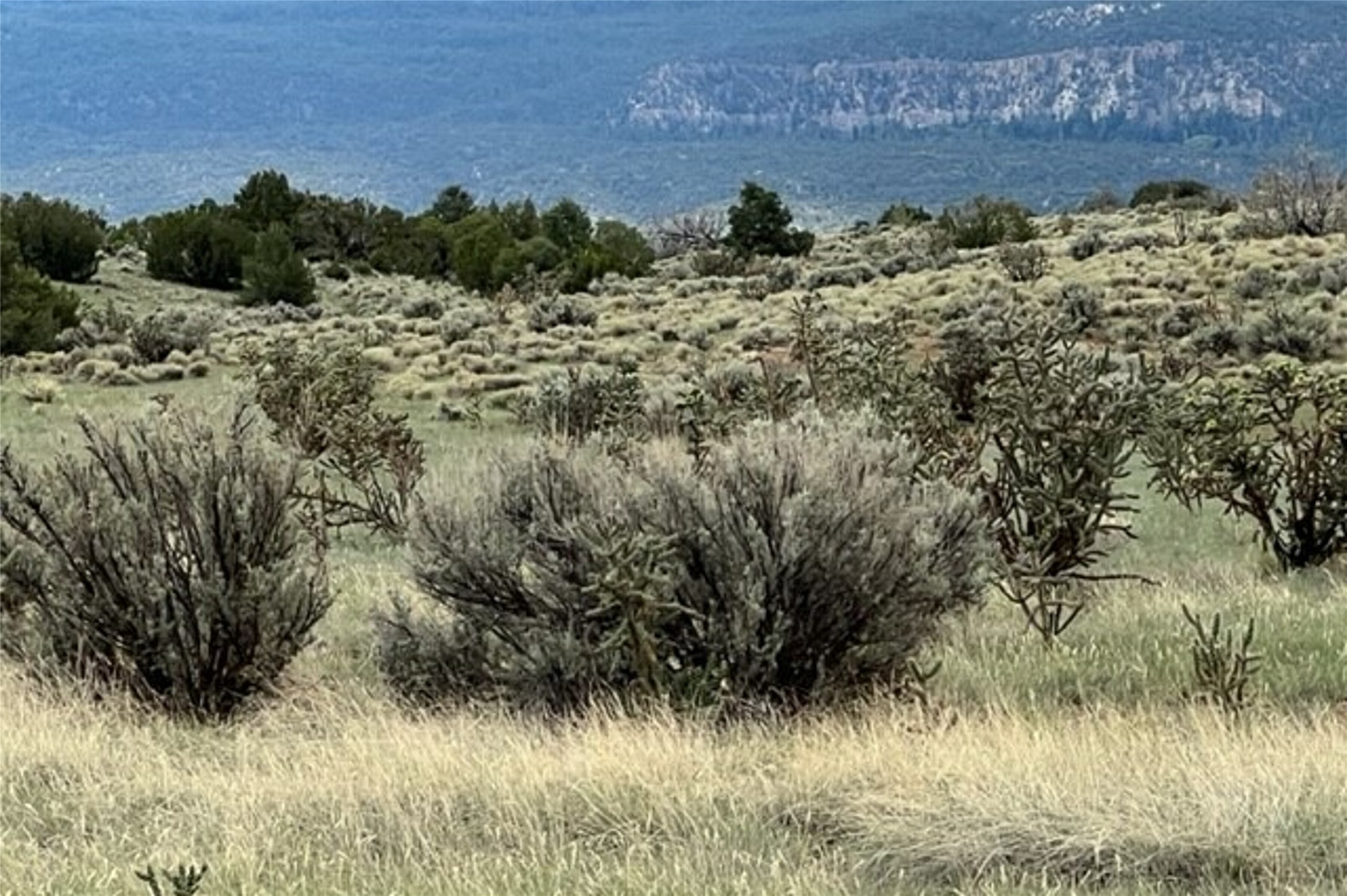 Lots 8 & 9 Las Animas De Abiquiu, Youngsville, New Mexico image 2