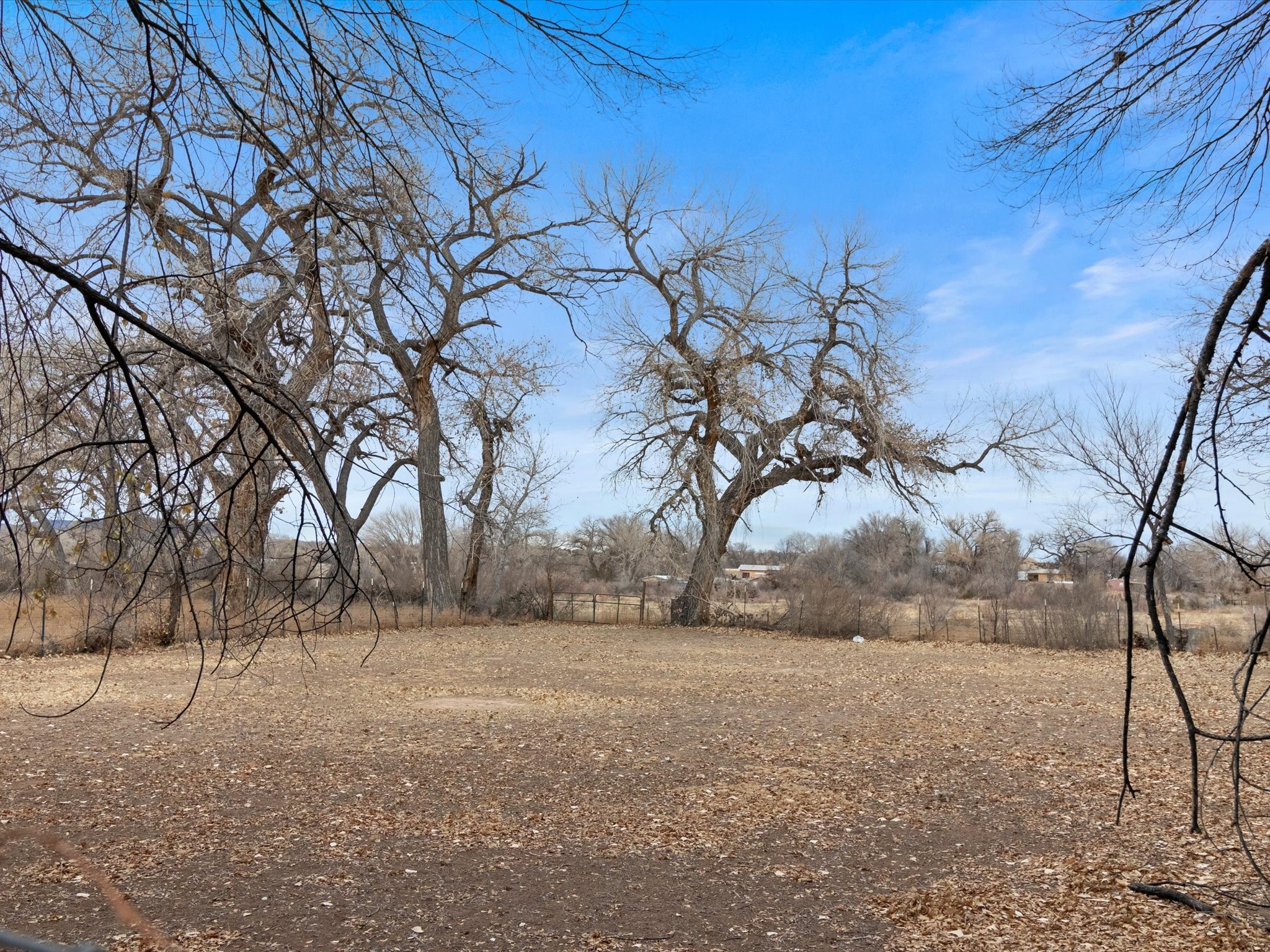 407 County Road 84 #B, Santa Fe, New Mexico image 44