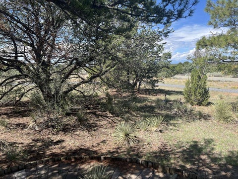Tiny photo for 17 Verano Loop, Santa Fe, NM 87508 (MLS # 202604292)