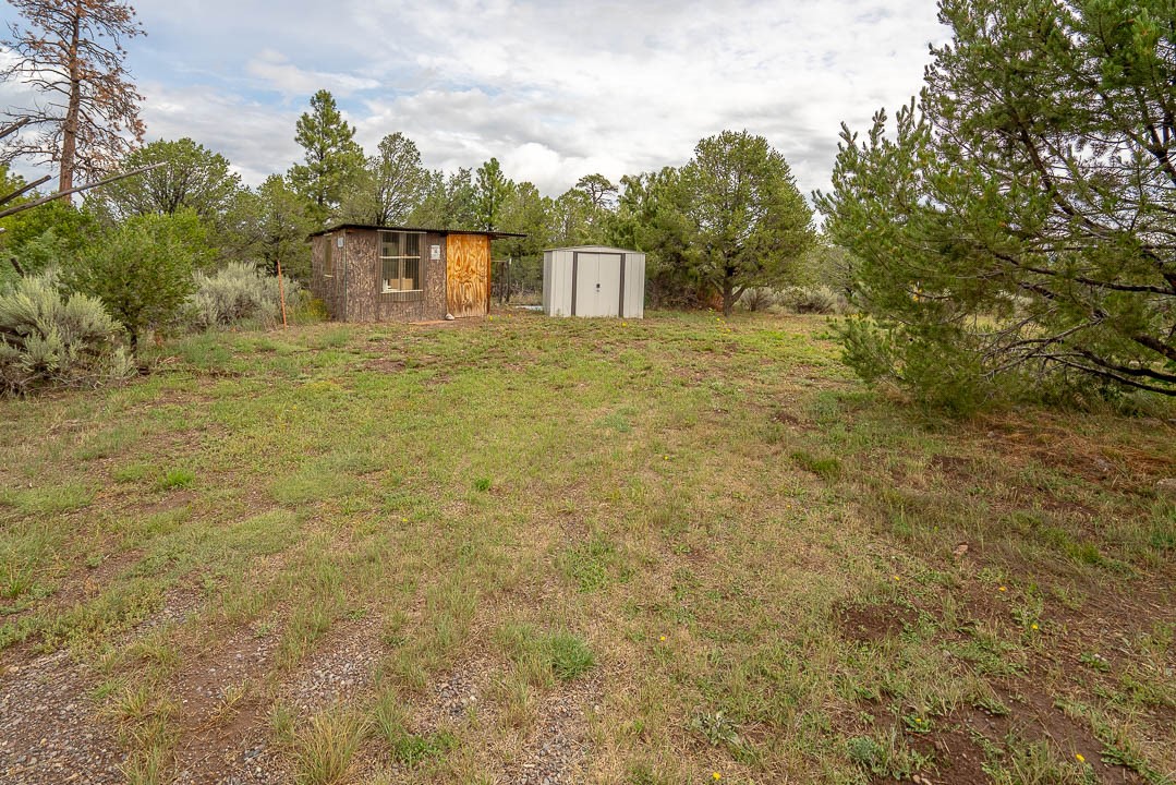 20 Forest Road 222, Tres Piedras, New Mexico image 38