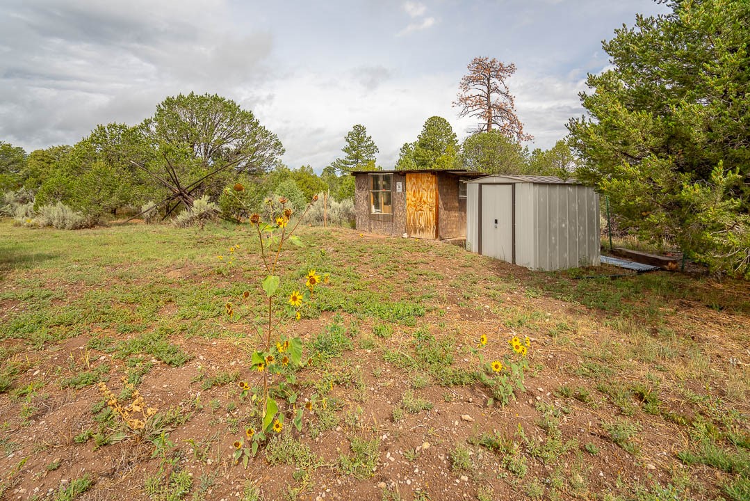 20 Forest Road 222, Tres Piedras, New Mexico image 39