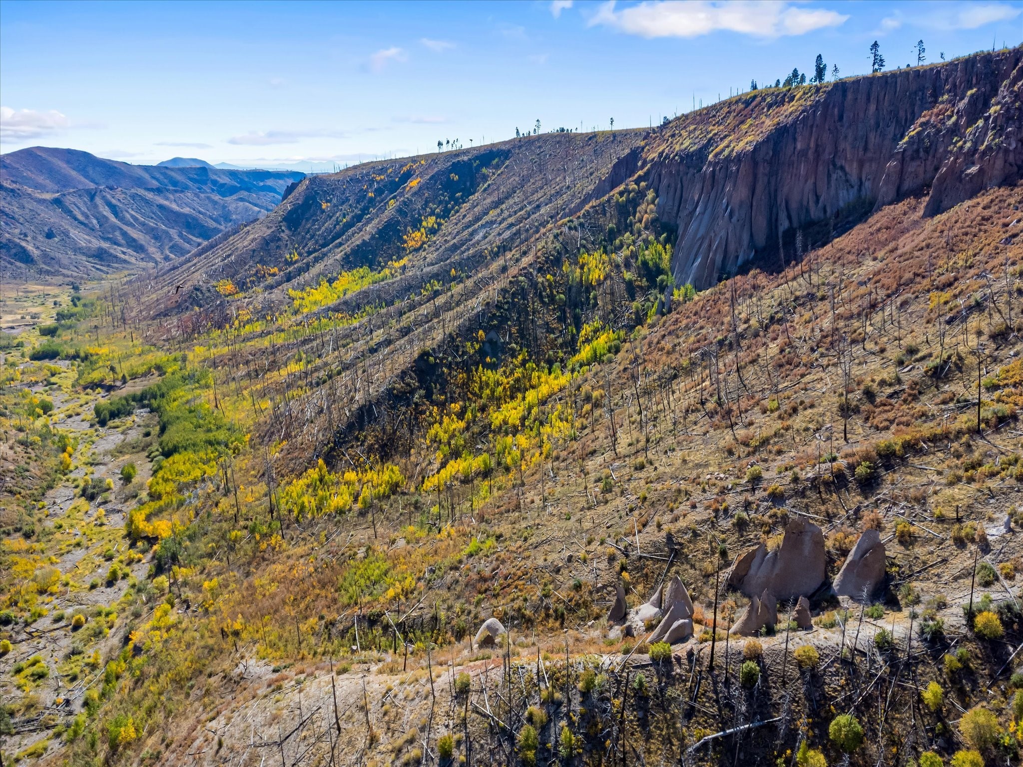 995 Forest Road #268, Jemez Springs, New Mexico image 14