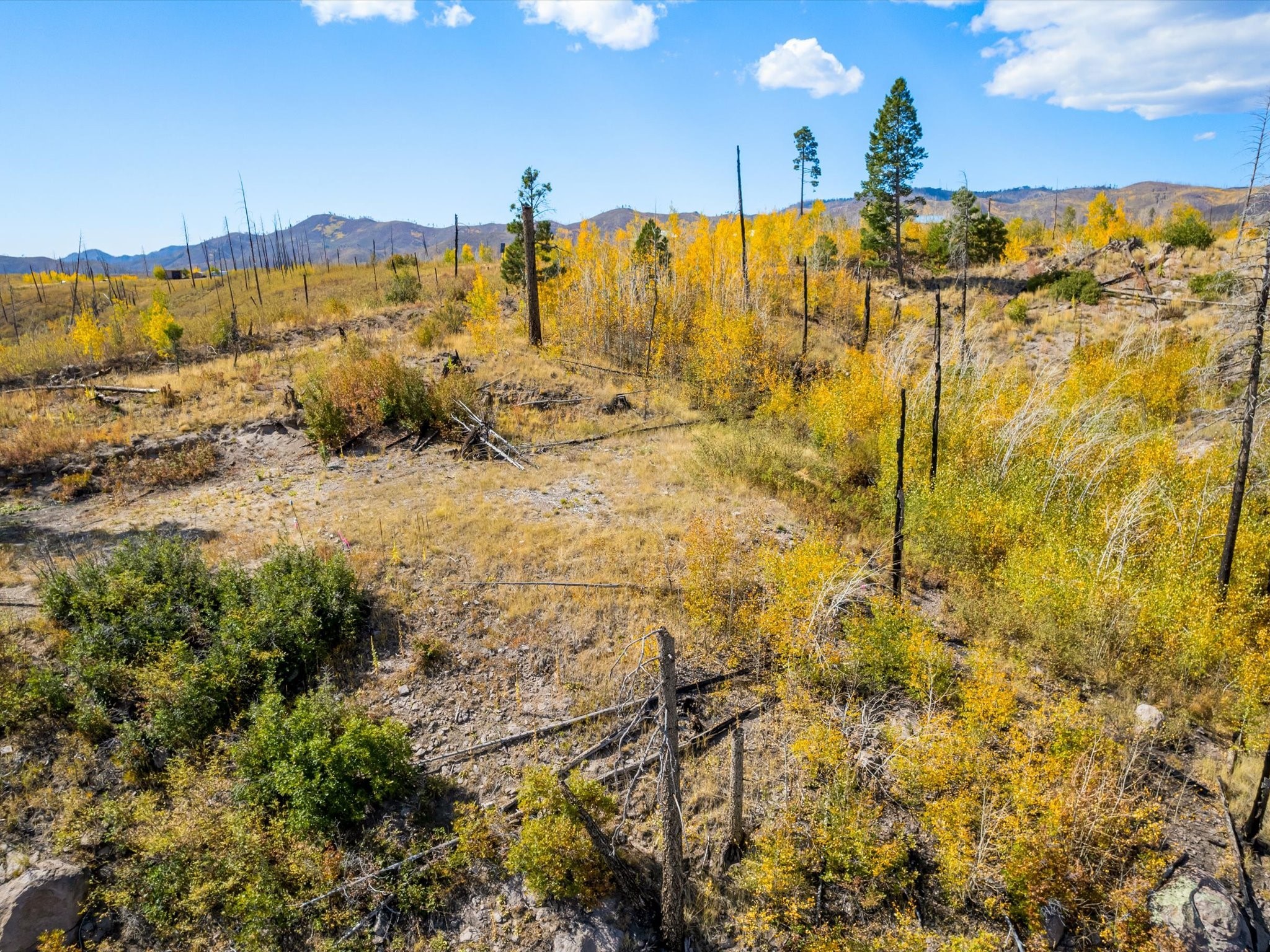 995 Forest Road #268, Jemez Springs, New Mexico image 21