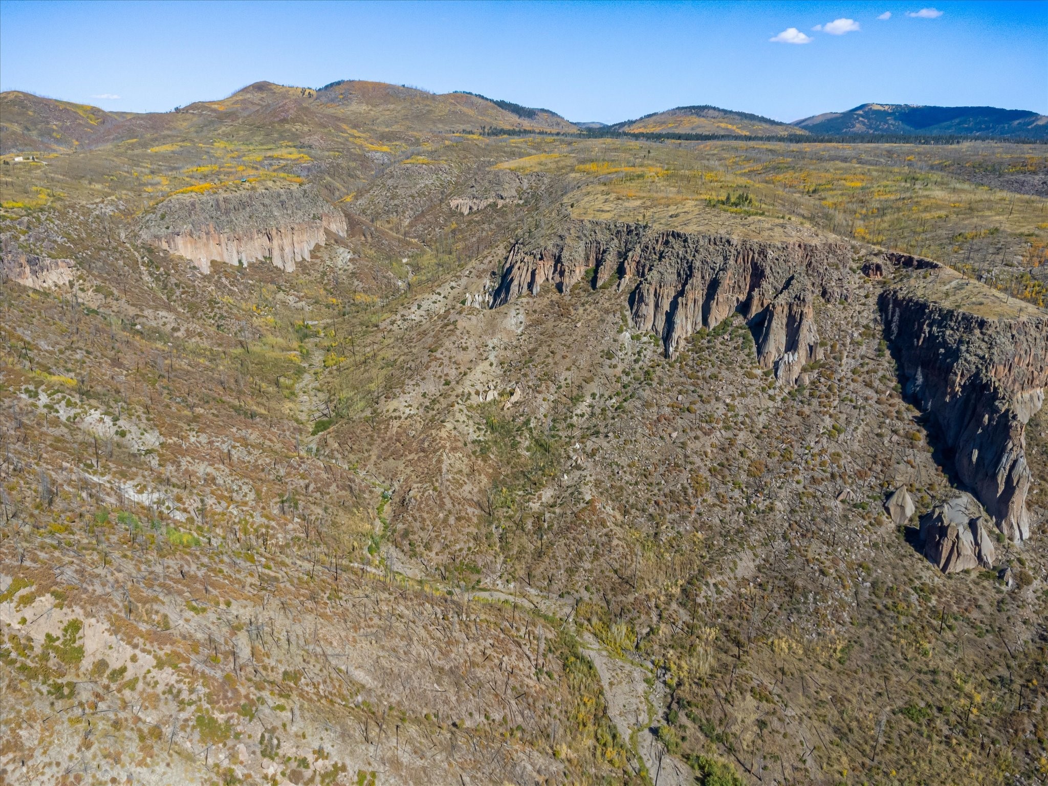 995 Forest Road #268, Jemez Springs, New Mexico image 7