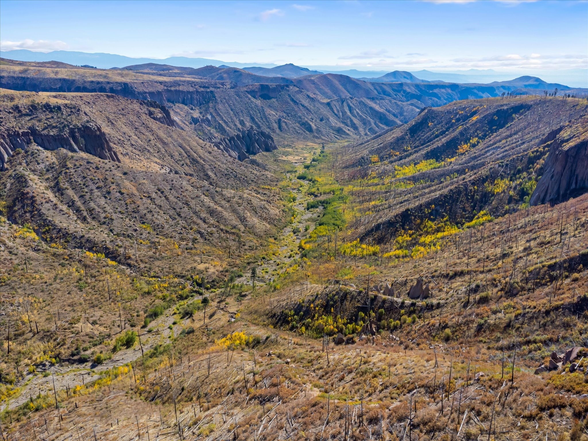 995 Forest Road #268, Jemez Springs, New Mexico image 3