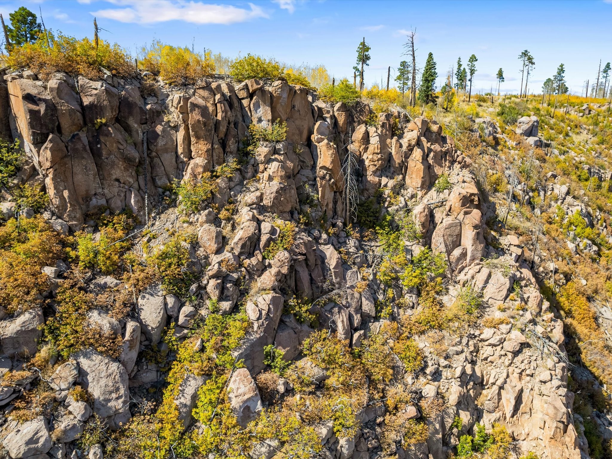 995 Forest Road #268, Jemez Springs, New Mexico image 18