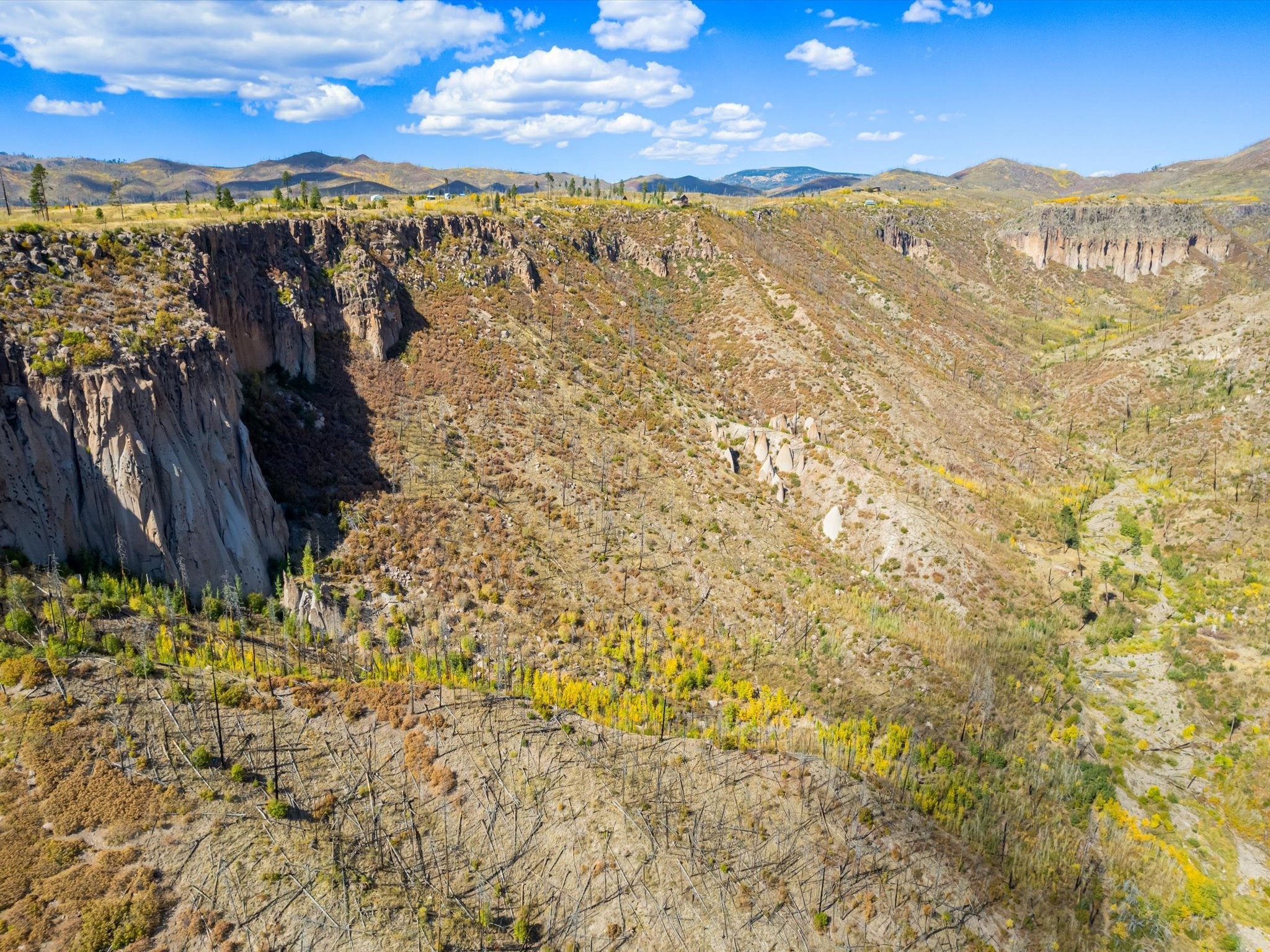 995 Forest Road #268, Jemez Springs, New Mexico image 15