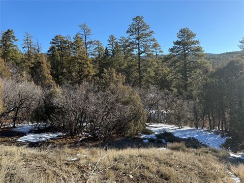 Vacant Land For Sale - Unit 1, Tr-9b, Ponderosa<br/> Rio Arriba County, Chama, NM 87520
