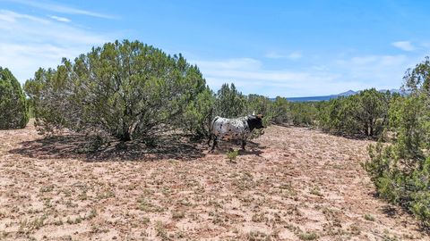 Tiny photo for 54 Anaya Spring #A, Santa Fe, NM 87508 (MLS # 202504042)