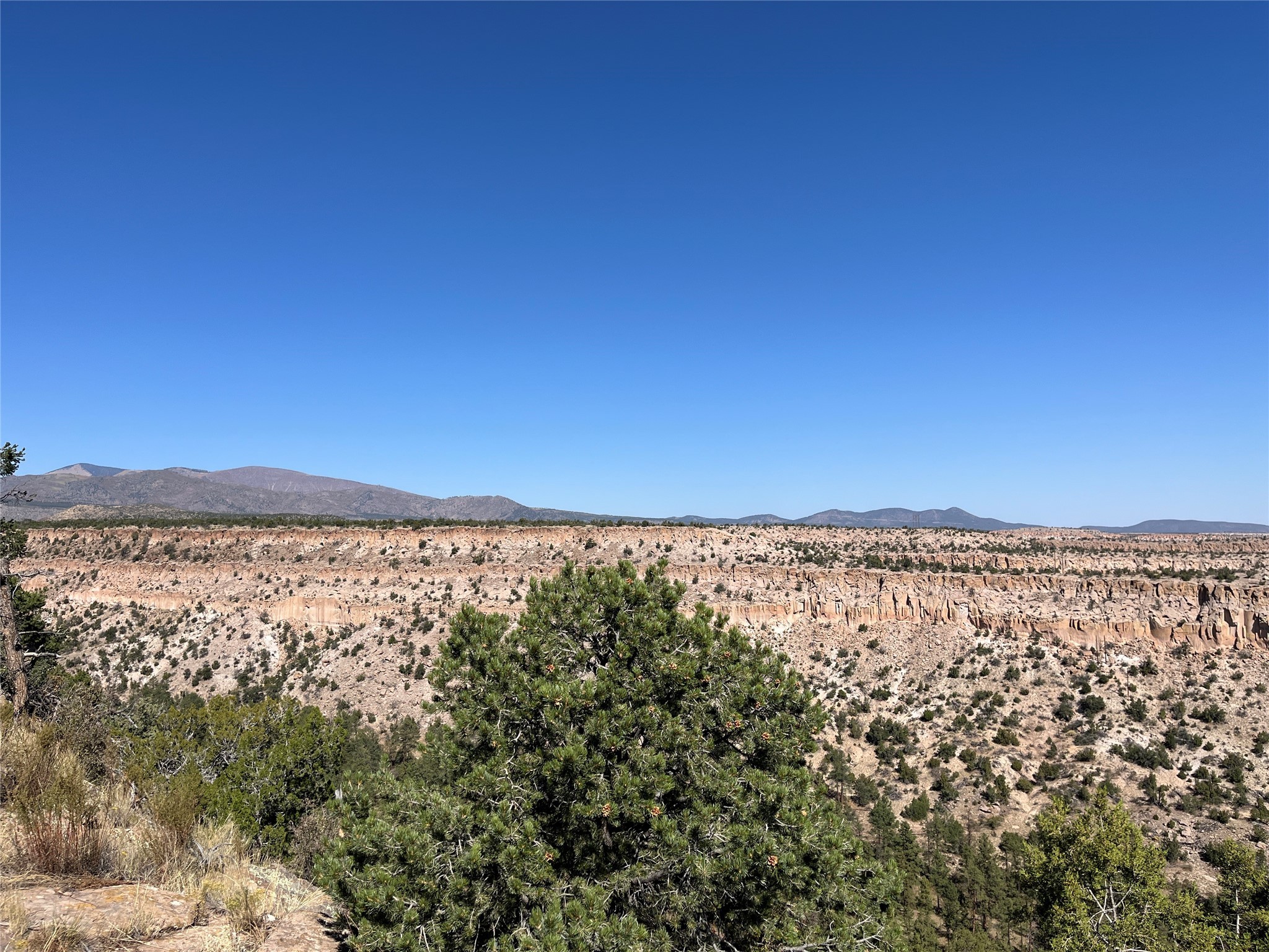 1890 Los Pueblos St, Los Alamos, New Mexico image 8