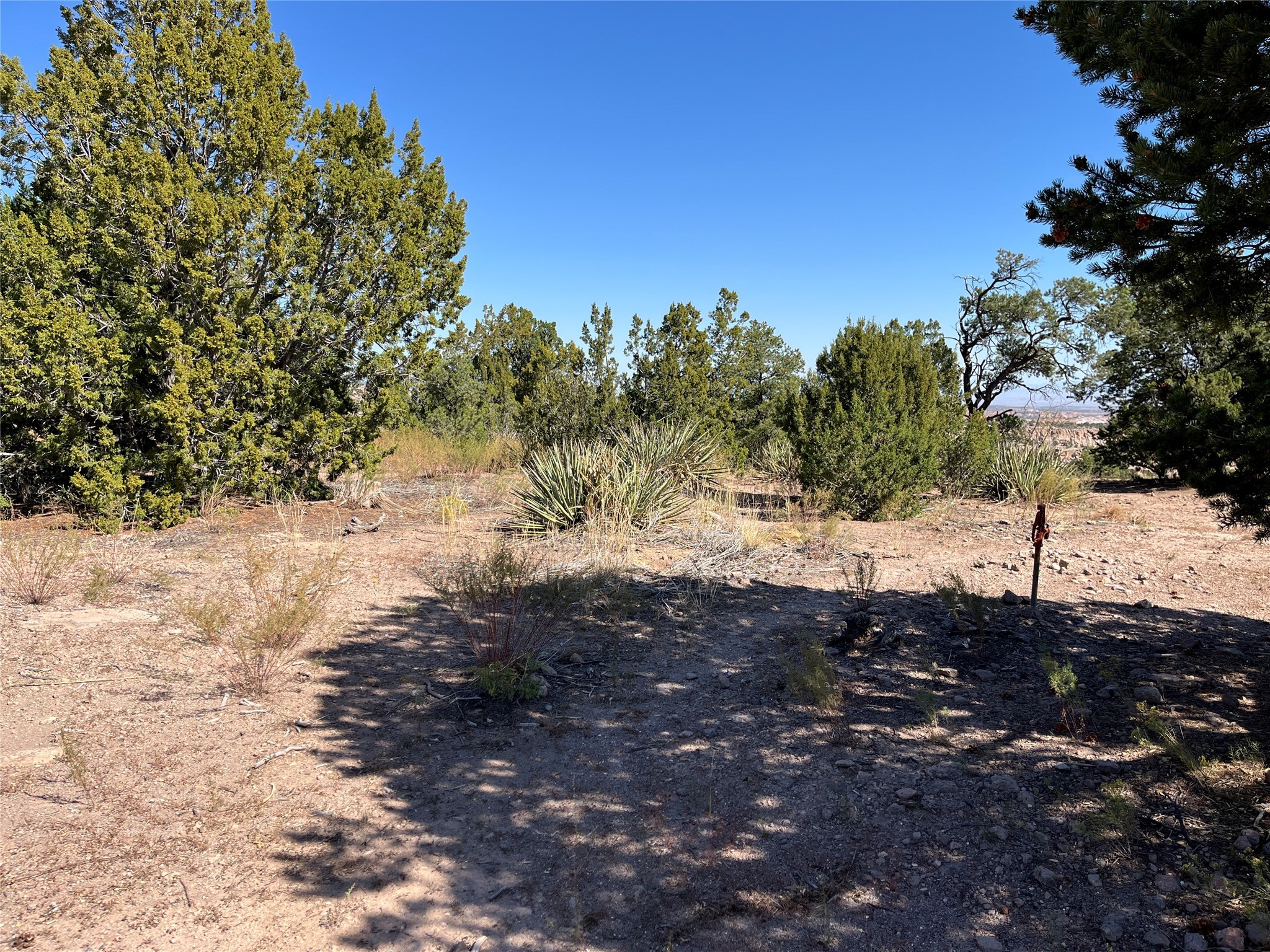1890 Los Pueblos St, Los Alamos, New Mexico image 3
