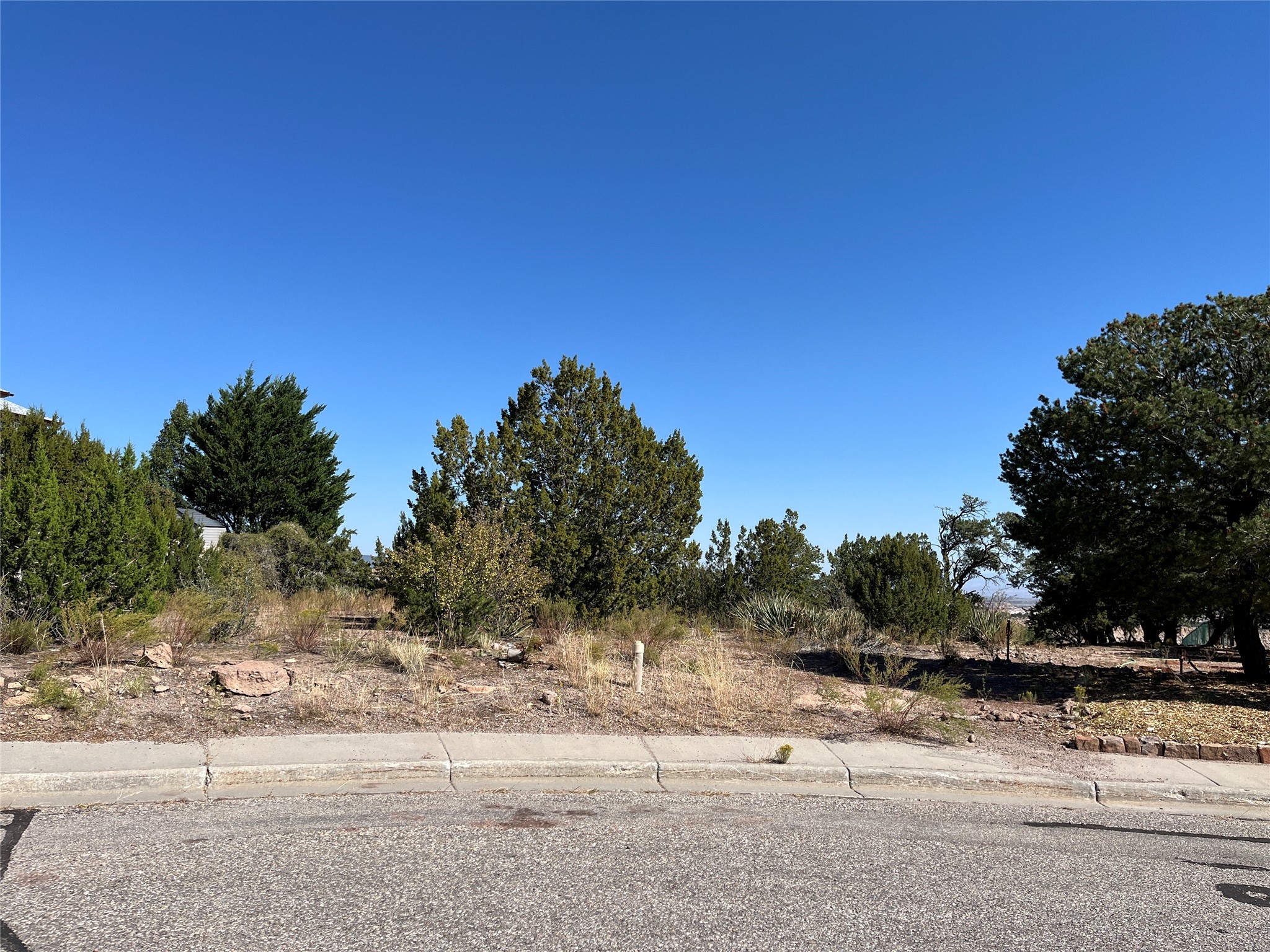 1890 Los Pueblos St, Los Alamos, New Mexico image 7