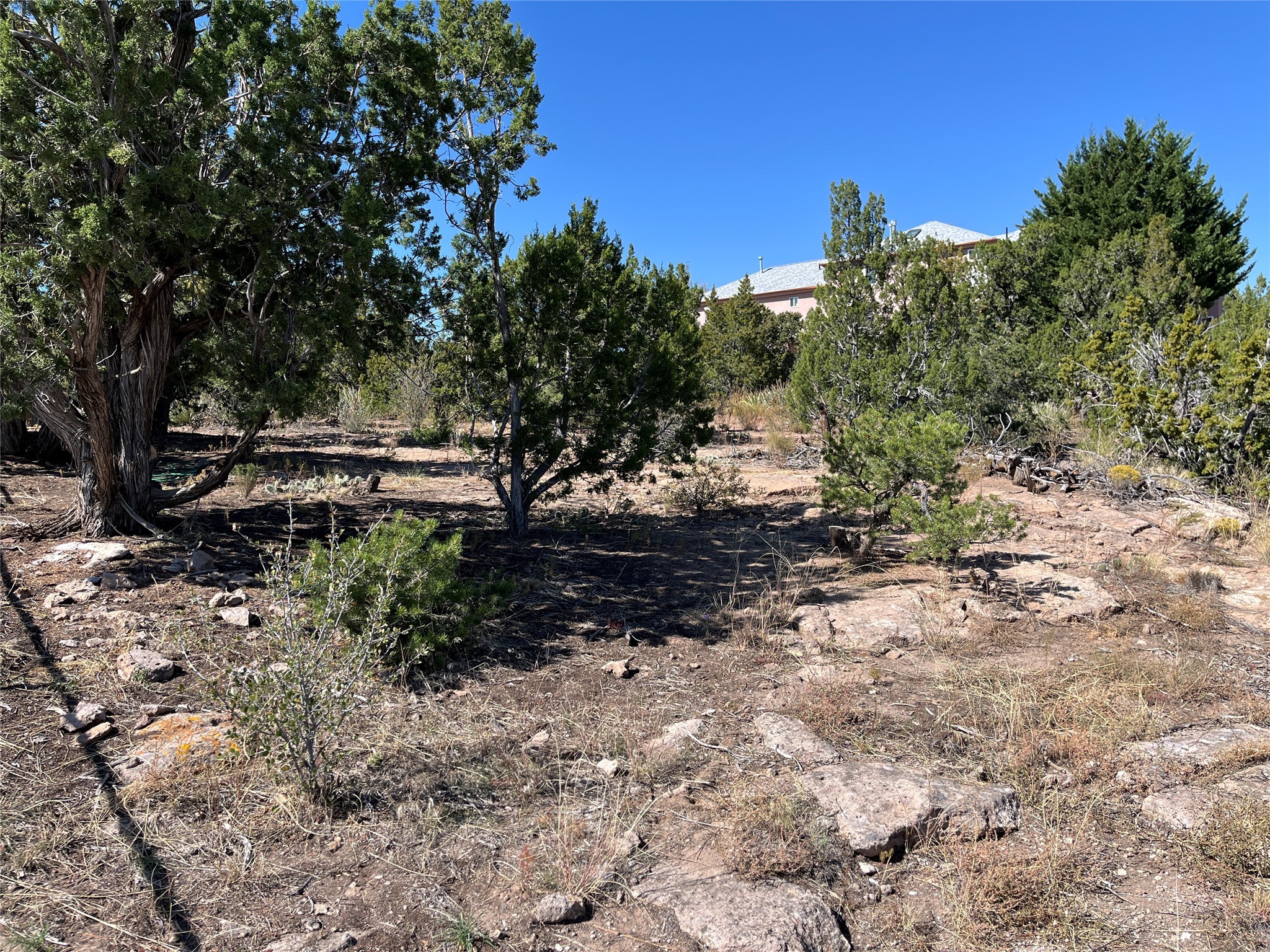 1890 Los Pueblos St, Los Alamos, New Mexico image 5