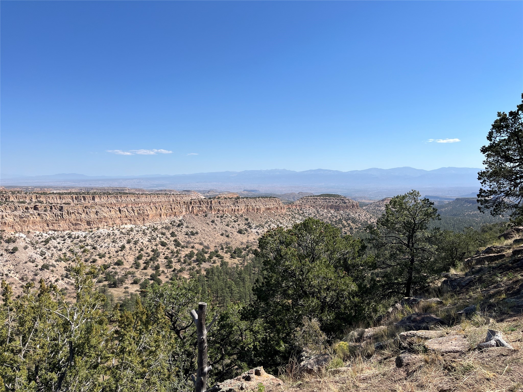 1890 Los Pueblos St, Los Alamos, New Mexico image 1