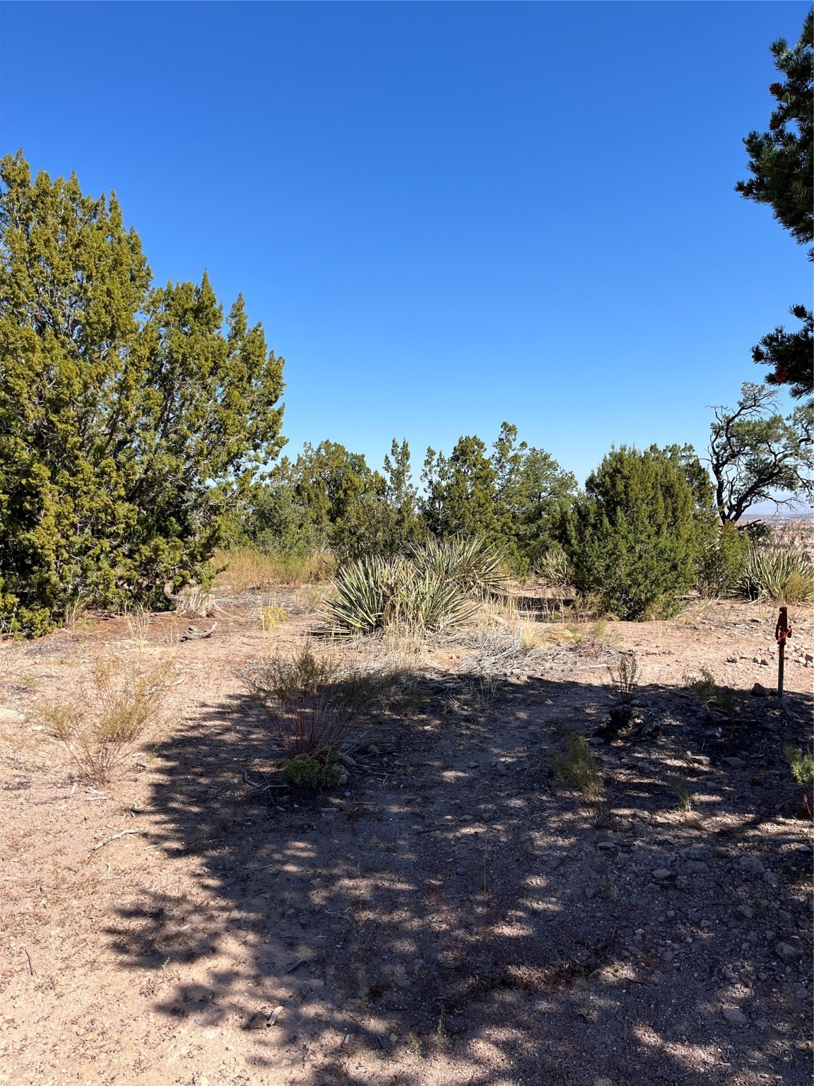 1890 Los Pueblos St, Los Alamos, New Mexico image 4