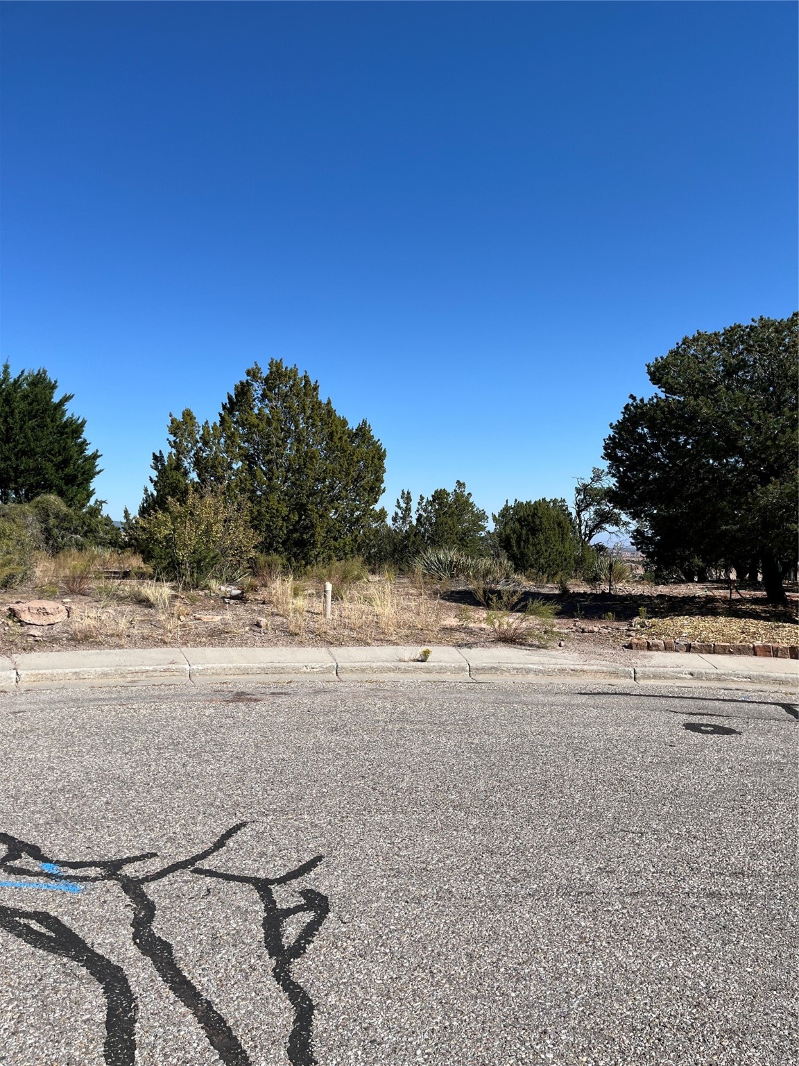 1890 Los Pueblos St, Los Alamos, New Mexico image 2