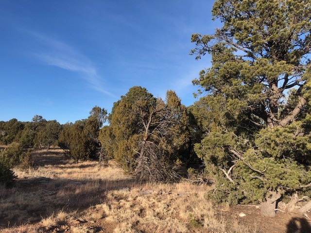 5 Acres Cr A20, Las Vegas, New Mexico image 3