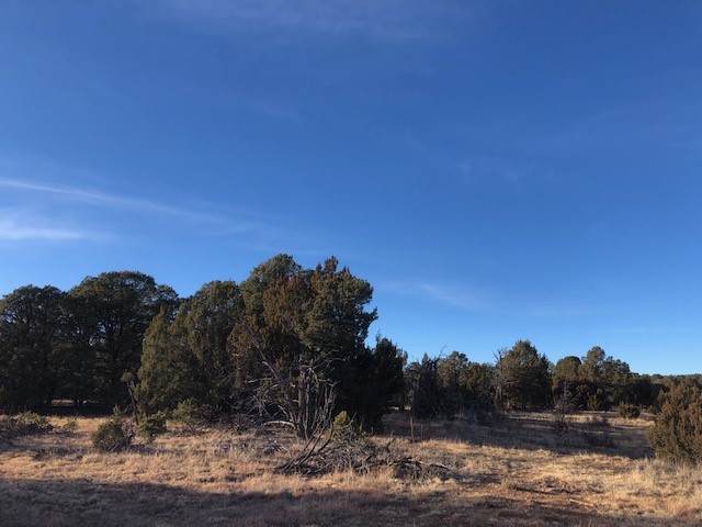 5 Acres Cr A20, Las Vegas, New Mexico image 4