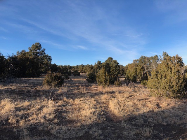 5 Acres Cr A20, Las Vegas, New Mexico image 11