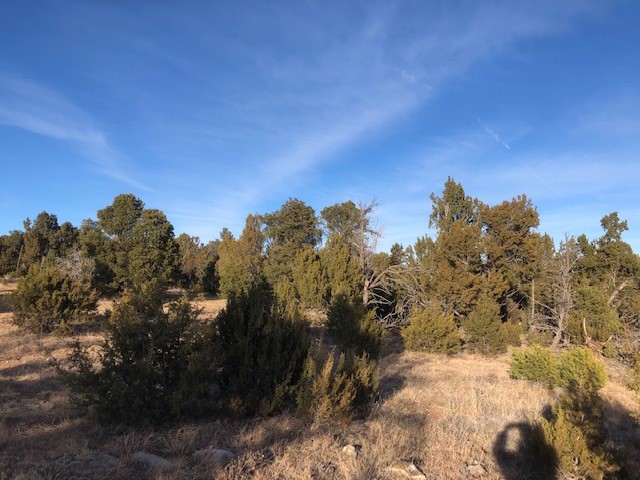 5 Acres Cr A20, Las Vegas, New Mexico image 5