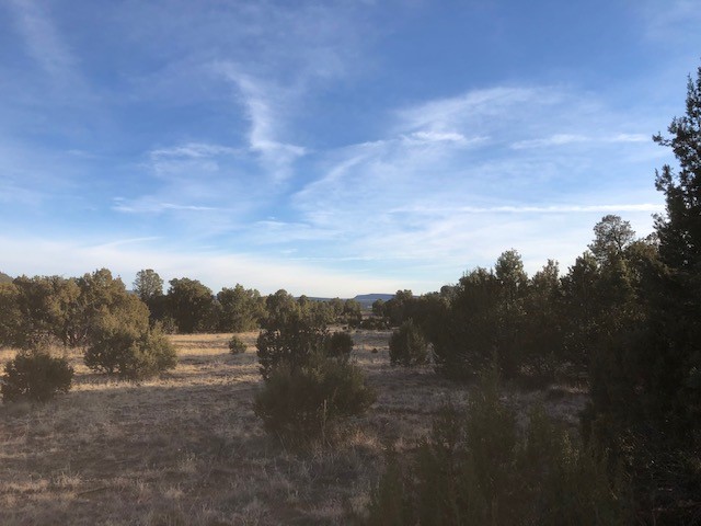 5 Acres Cr A20, Las Vegas, New Mexico image 9