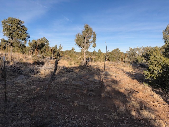 5 Acres Cr A20, Las Vegas, New Mexico image 14