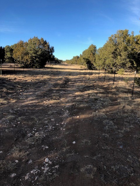 5 Acres Cr A20, Las Vegas, New Mexico image 13