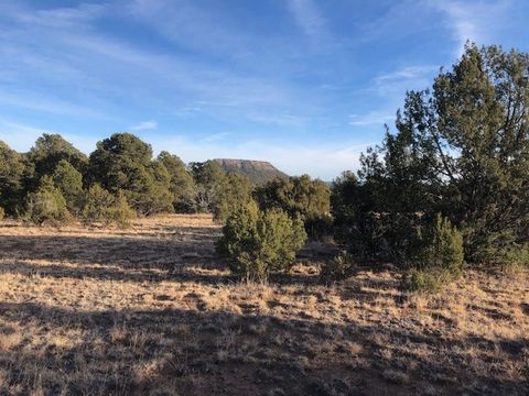 Vacant Land For Sale - 5 ACRES Cr A20<br/> Las Vegas, NM 87701