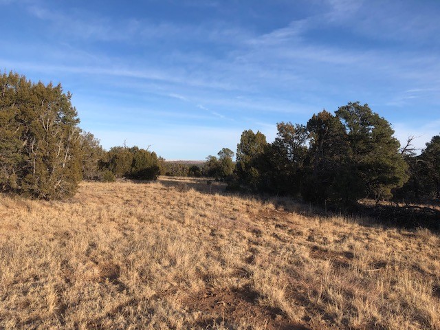 5 Acres Cr A20, Las Vegas, New Mexico image 10