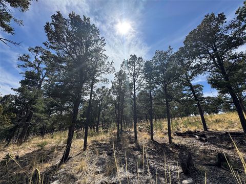 Vacant Land For Sale - LOT 25 Birds Of A Feather<br/> Pecos, NM 87552