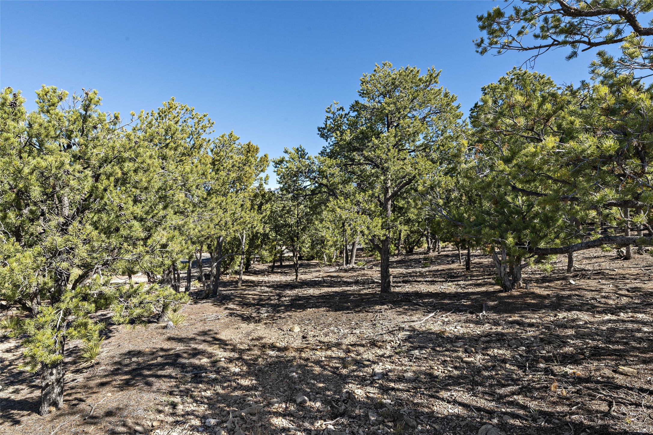 1164 S Summit Drive, Lot 15 Dr, Santa Fe, New Mexico image 22