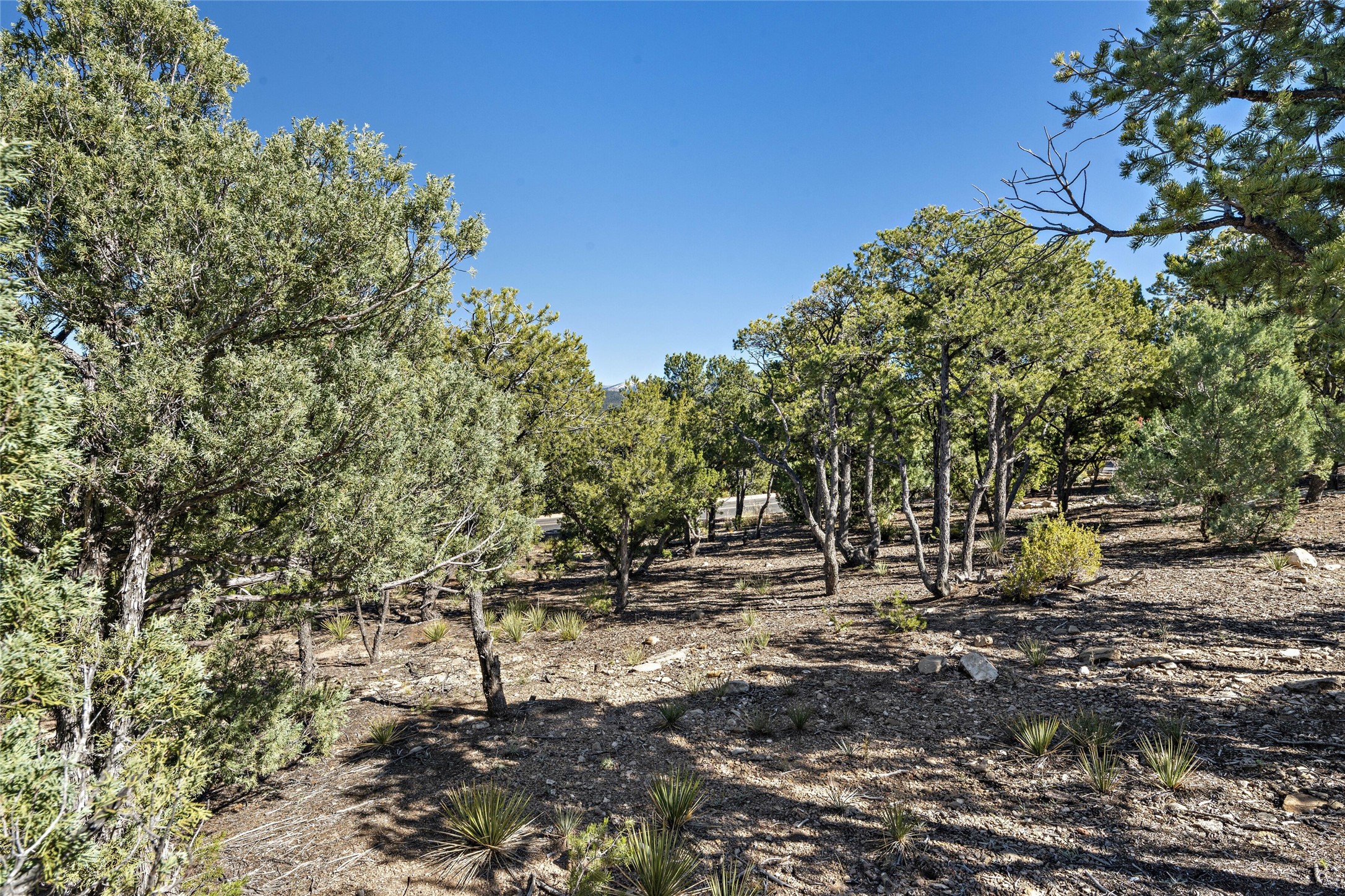 1164 S Summit Drive, Lot 15 Dr, Santa Fe, New Mexico image 21