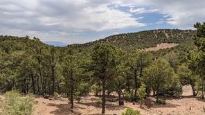 1817 Kachina Heights Dr #LOT 7, Santa Fe, New Mexico image 2