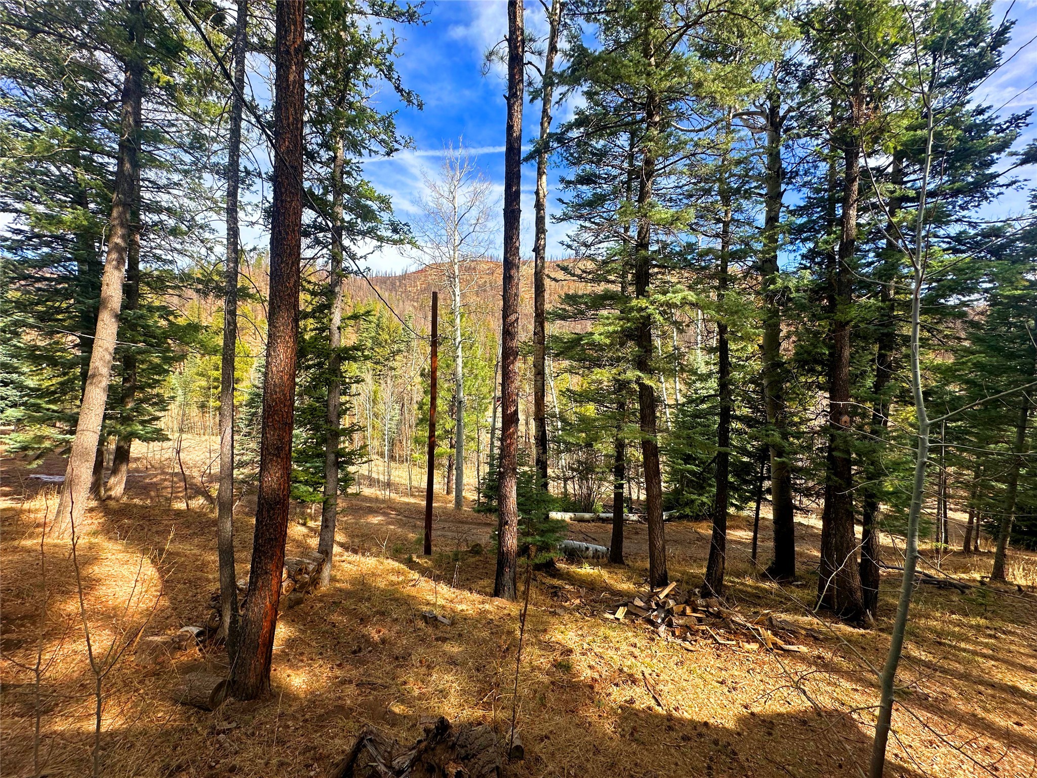 11 W Meadow Lane, Sapello, New Mexico image 37