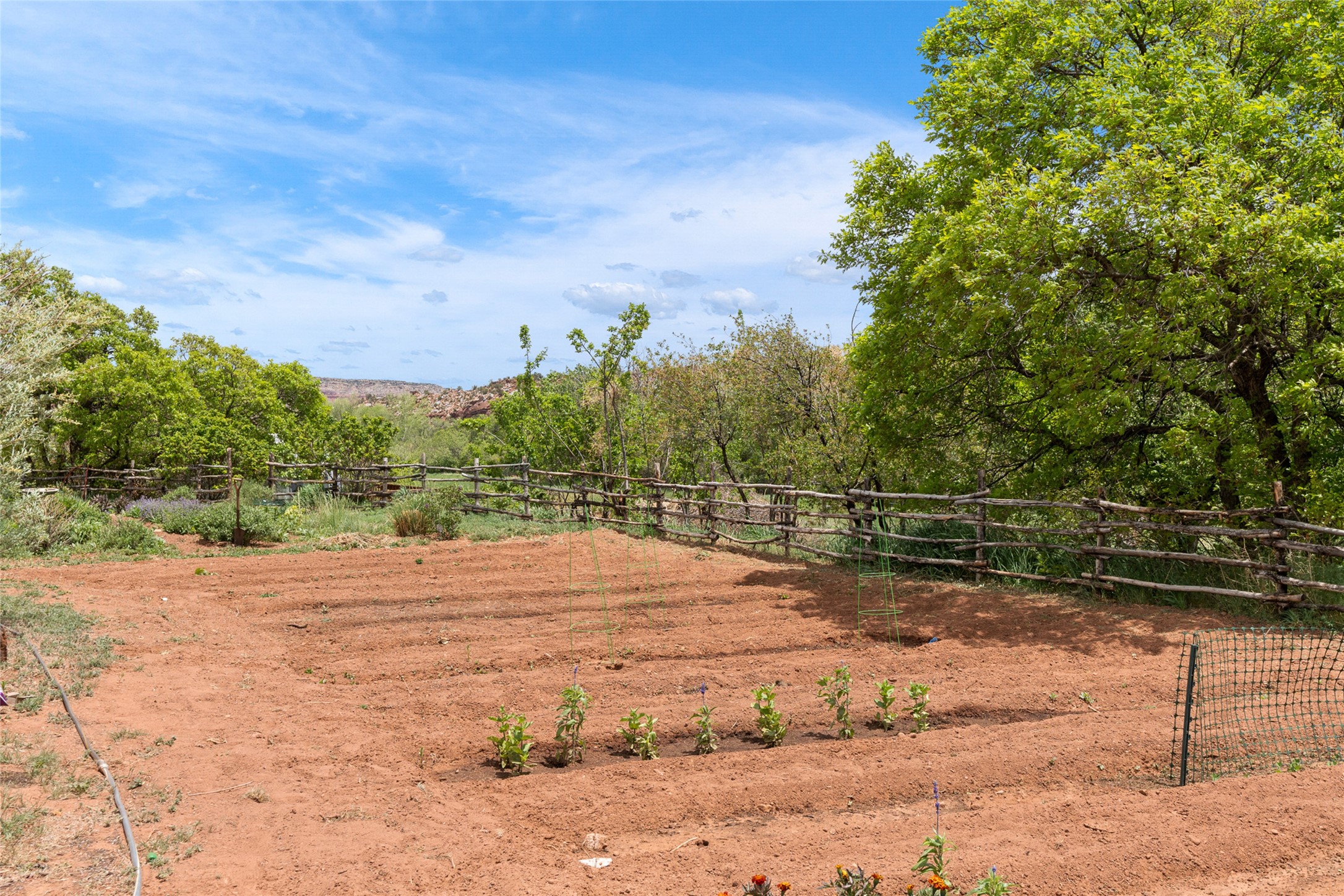 270 B County Road 423, Coyote, New Mexico image 48