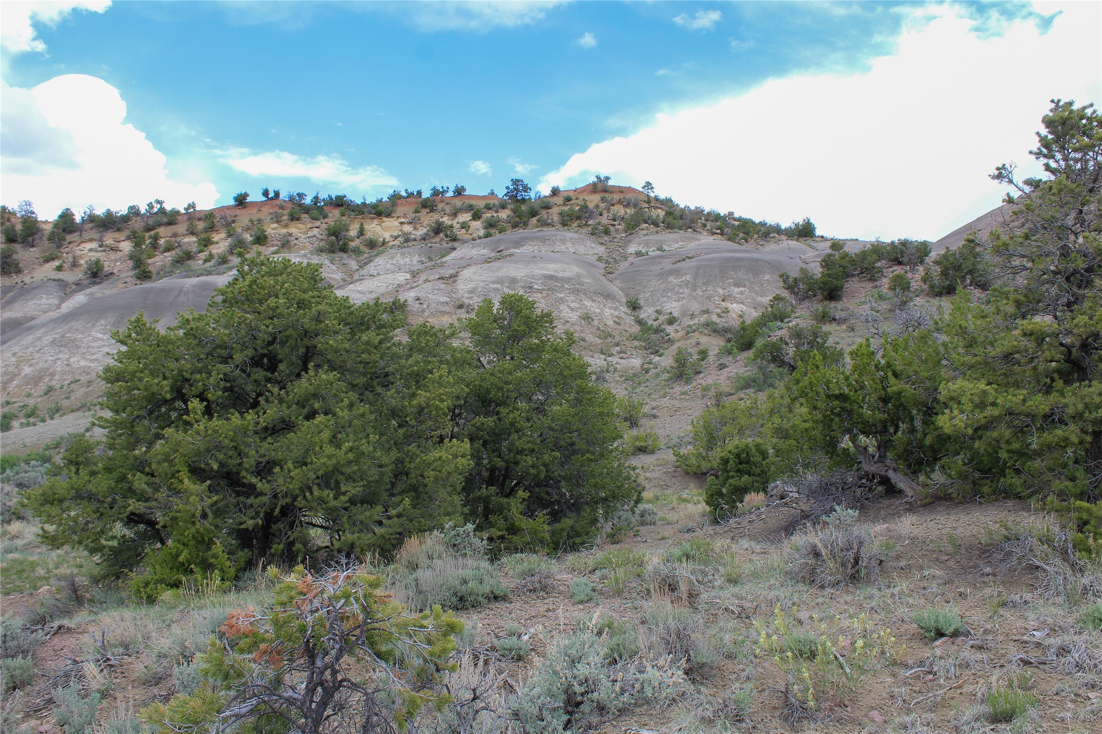 200 Vallecitos Rd, Cuba, New Mexico image 3