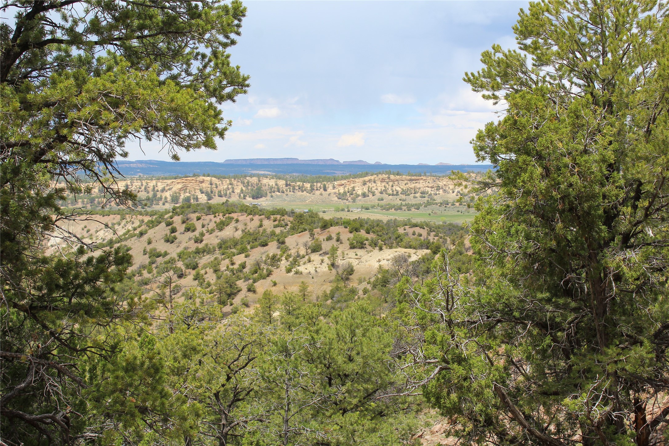 200 Vallecitos Rd, Cuba, New Mexico image 42