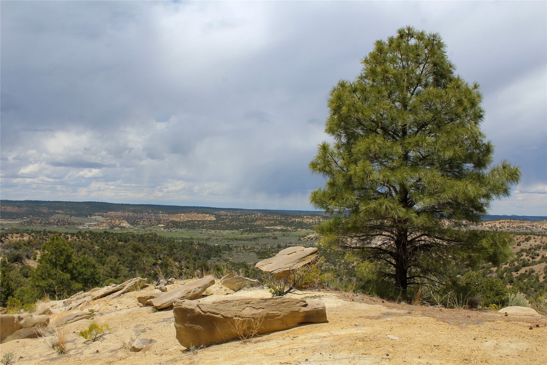 200 Vallecitos Rd, Cuba, New Mexico image 50