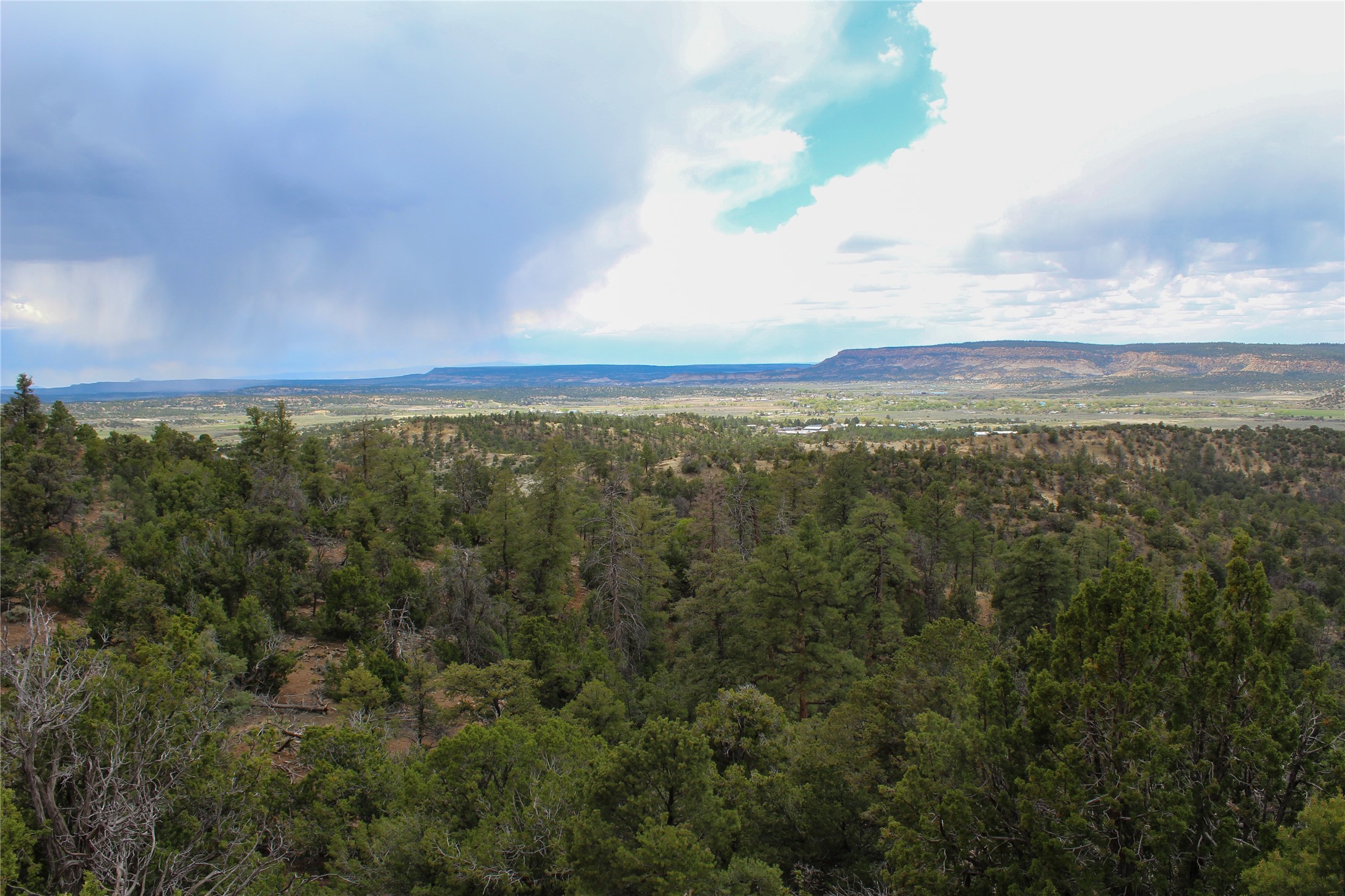 200 Vallecitos Rd, Cuba, New Mexico image 35