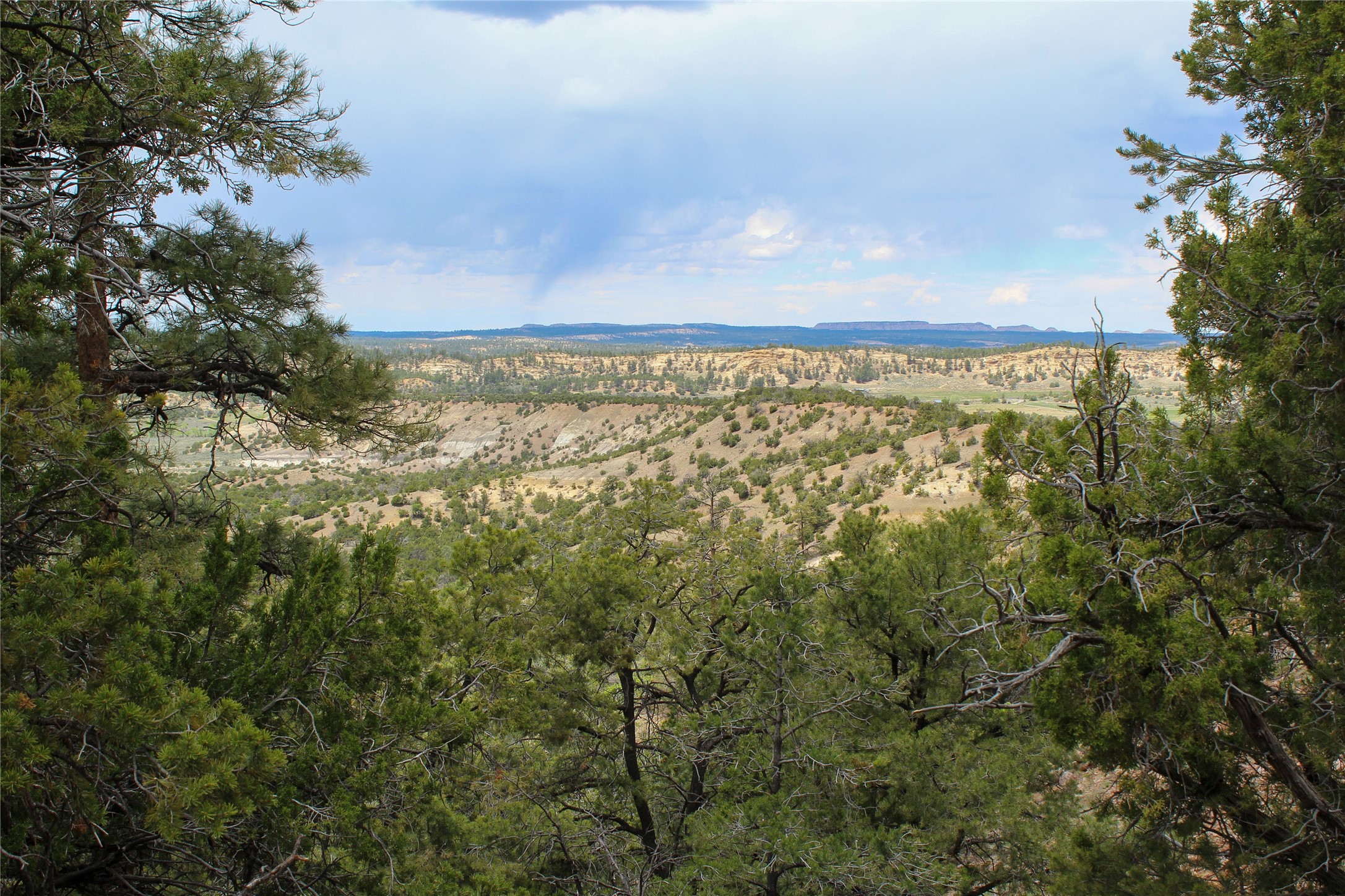 200 Vallecitos Rd, Cuba, New Mexico image 40