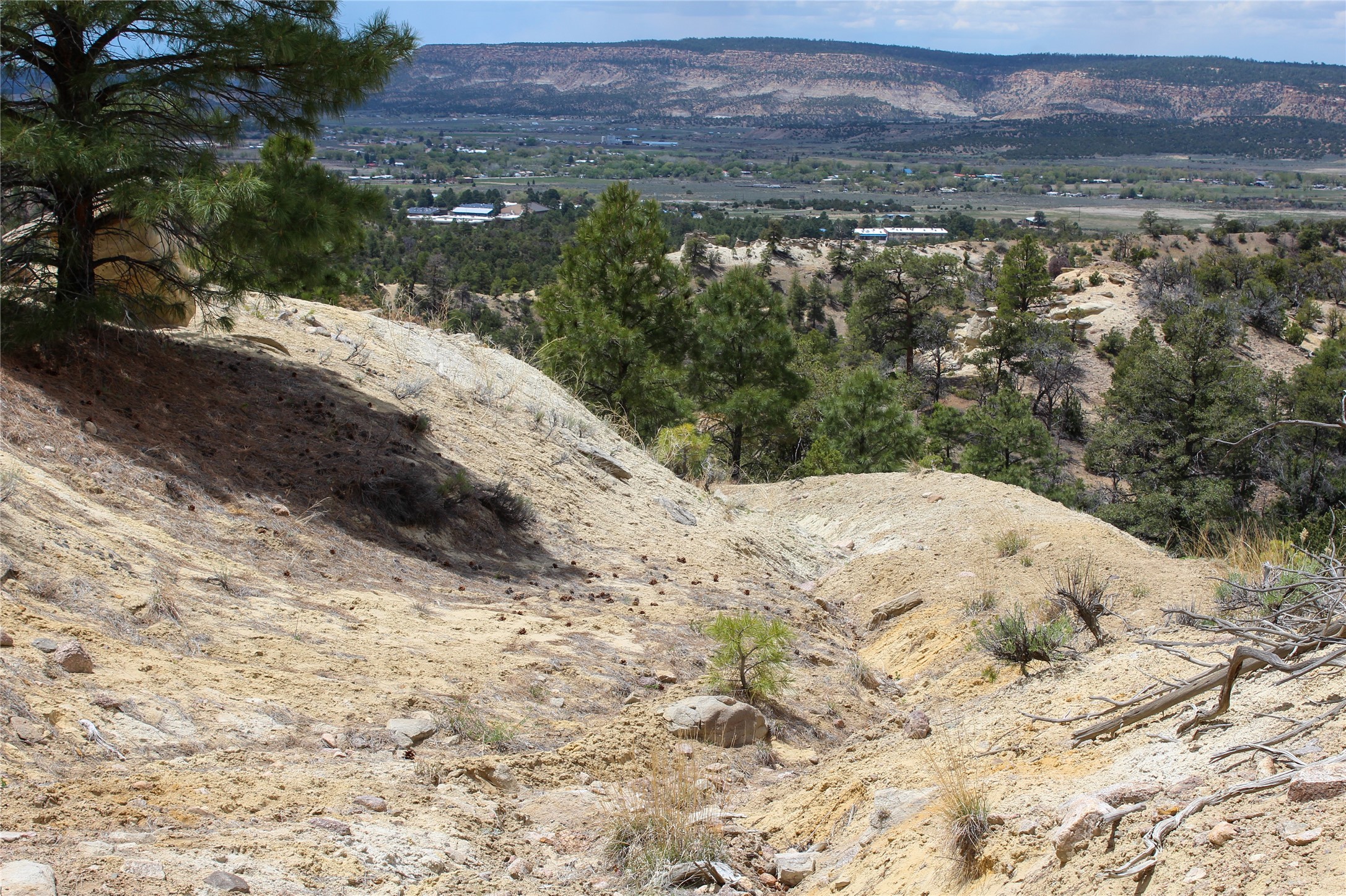 200 Vallecitos Rd, Cuba, New Mexico image 48