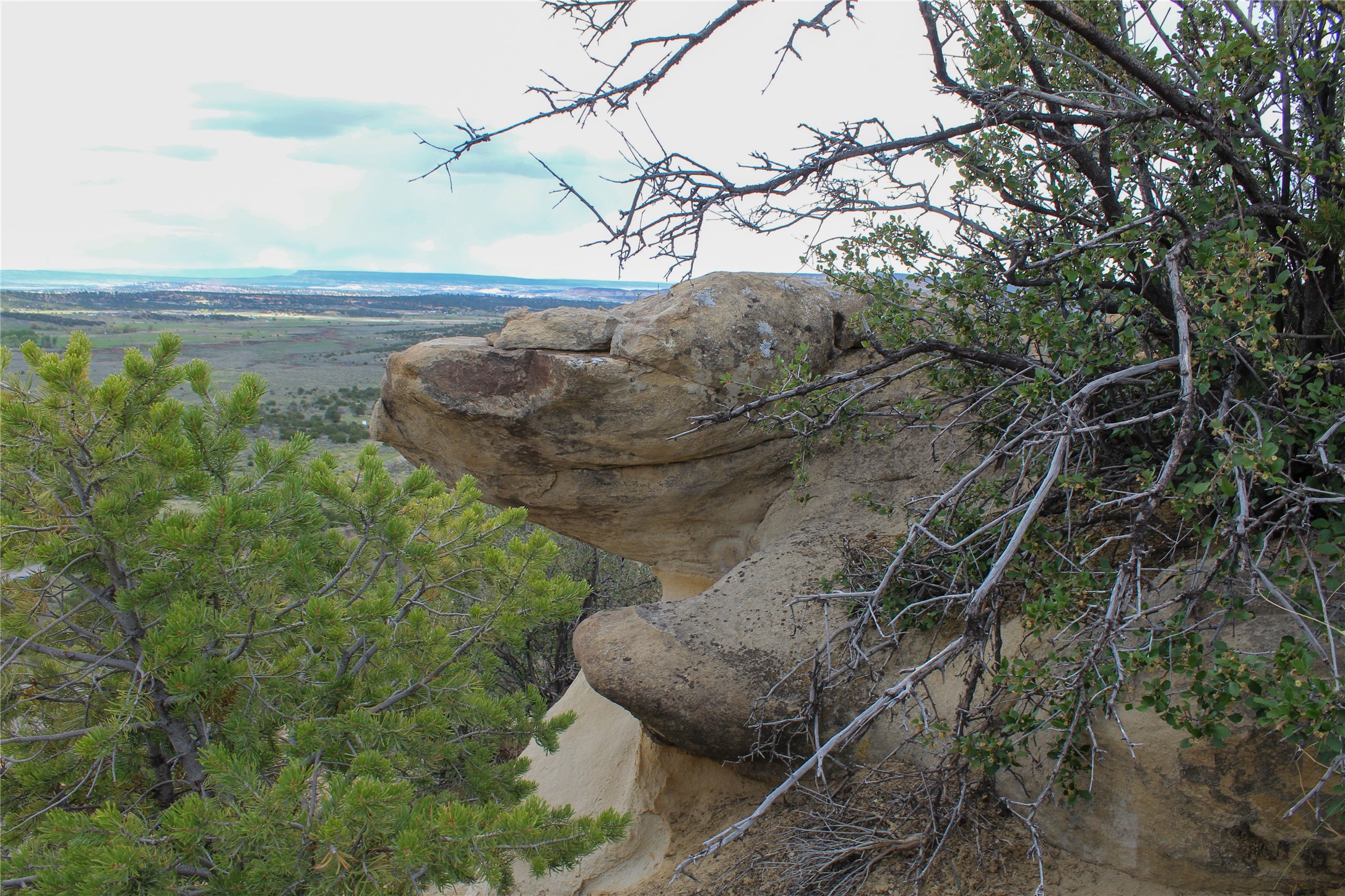 200 Vallecitos Rd, Cuba, New Mexico image 1