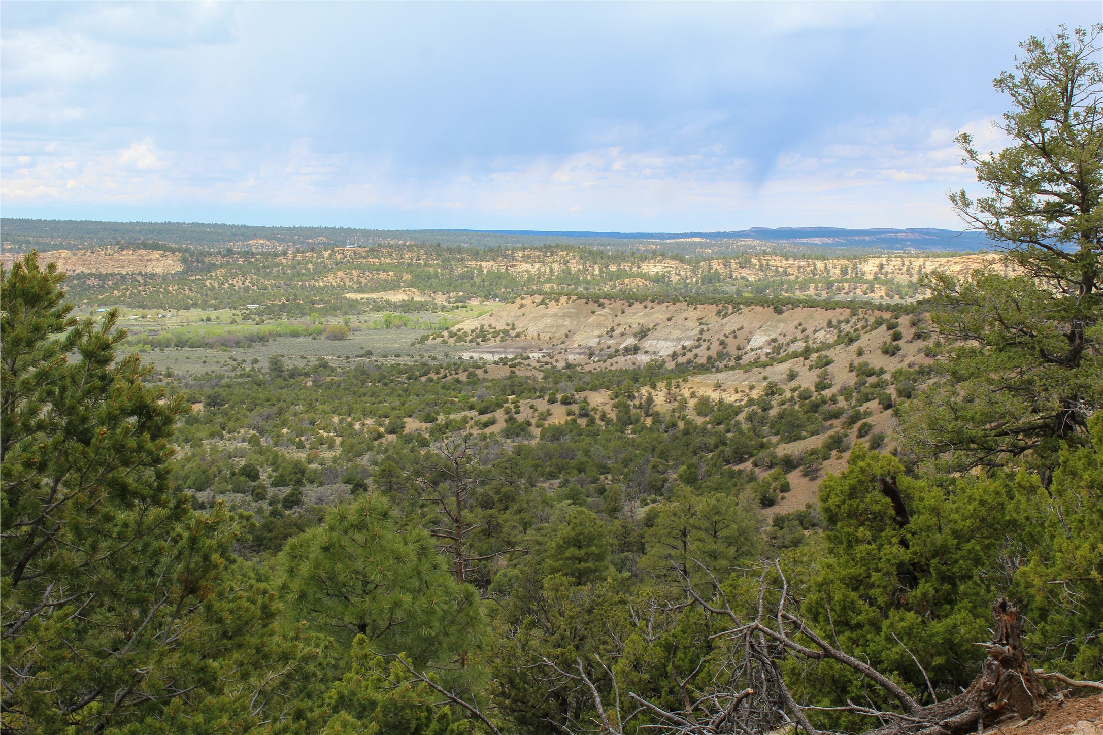 200 Vallecitos Rd, Cuba, New Mexico image 37